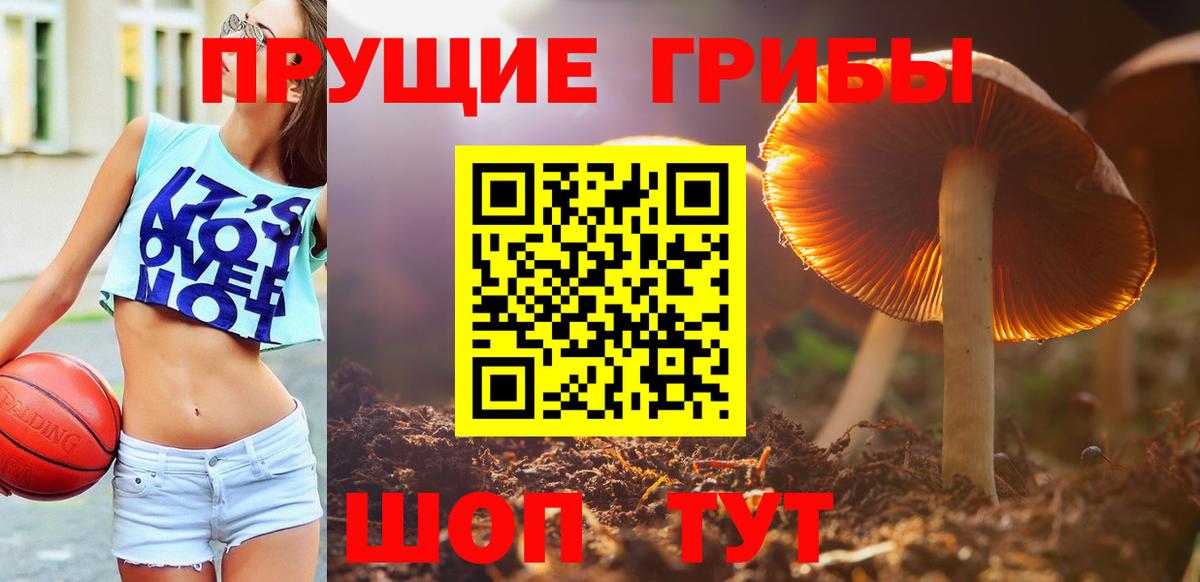 Галлюциногенные грибы Psilocybine cubensis Биробиджан